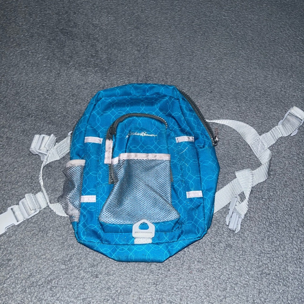 Kids Eddie Bauer Teal Backpack with Gray Accents